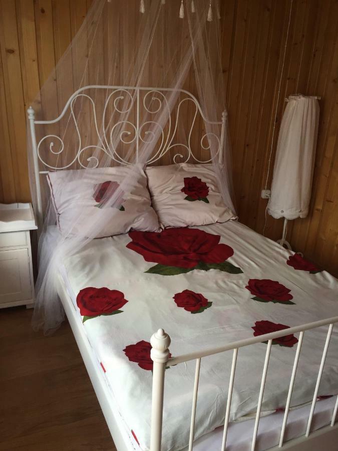 Apartament Pokoje U Eli Brzegi  Zewnętrze zdjęcie